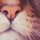 Catsbh2o38copy