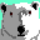 Pixel_polar_bear_by_fawn119-d4vlwmn